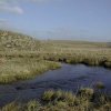 Ruisseau des Bartasses